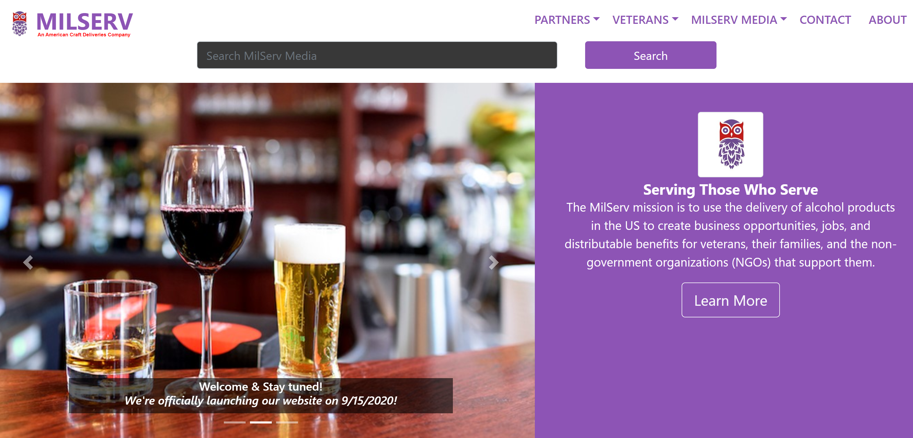 portfolio gallery image with hyperlinked buttons